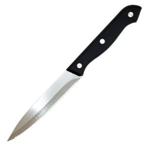 Stainless steel serrated knife with plastic handle